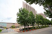スギ薬局北山本町店 305m