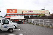 ザ・ビッグエクスプレス花ノ木店 755m