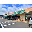 スーパー「デリシア桐店まで743ｍ」