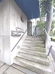 6 / 13