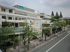 愛知県名古屋市千種区新池町１丁目21番（賃貸マンション3LDK・3階・74.40㎡） その25