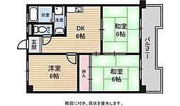 メゾンドールサカエ 3階/303