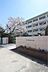 周辺：北九州市立貴船小学校（616m）
