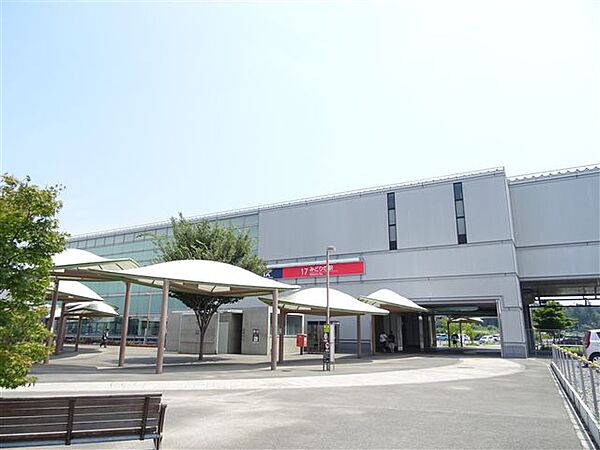 ハレレア