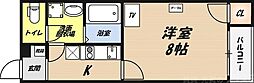 クレイノハレオリナ
