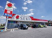 ドラッグストアセキ武蔵藤沢店 572m