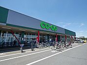 コープ武蔵藤沢店 350m