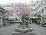 高槻市立西大冠小学校