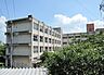 周辺：島本町立第三小学校