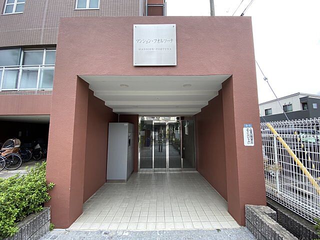 17 / 38