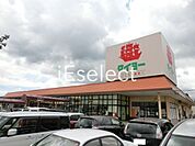 スーパータイヨー八街店 徒歩15分。 1150m