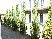 バルコニーから見た景色です