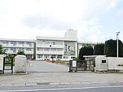 八街市立実住小学校 584m