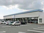 カワチ薬品 1100m