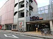 ミーオ 1000m