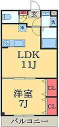 表町プライムヒルズ 1LDKの間取図画像