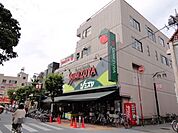 シミズヤ 310m