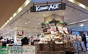 北野エース渋谷東急フードショー店 徒歩9分。 660m