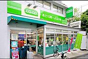 ミニコープ 560m
