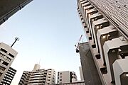 参考写真