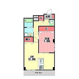 バッカス 1LDKの間取図画像