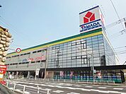 ヤマダ電機 1000m