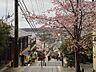 その他：近隣施設。春には桜が咲き、綺麗な街並みです♪