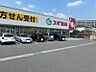 周辺：スギ薬局 東生駒店（965m）