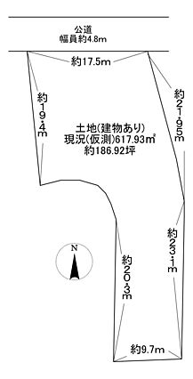 現地
