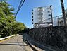 外観：緑豊かな環境に建つ白い外観のマンション。青空の下、開放的な暮らしが叶いそうです。