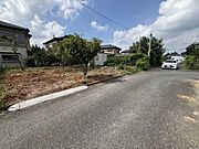 現地写真