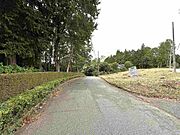 前面道路