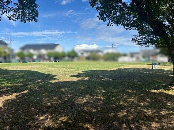 高松スポーツ公...