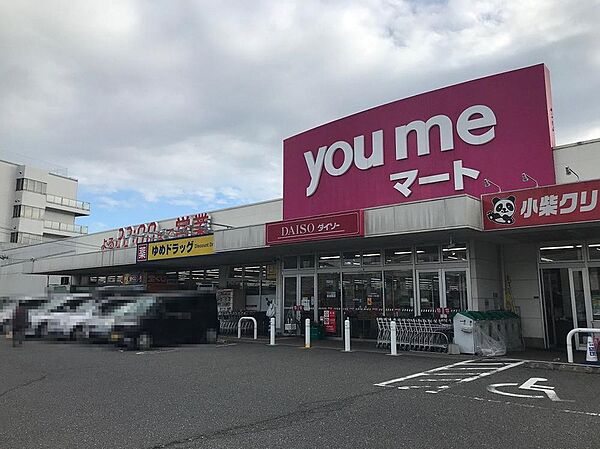 その他を拡大表示