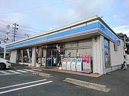 カトリーヌ　ヒルズ