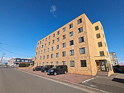 JR千歳線 北広島駅 徒歩12分 2階/-