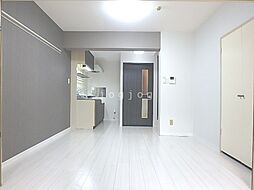 ビッグバーンズマンション新札幌 1DKの写真