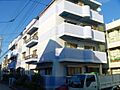 パープルツィン園田