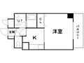 マッシモ北3条7階4.5万円