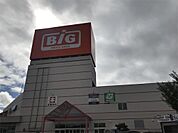 ザ・ビッグ 三郷店（553m）