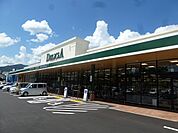 デリシア七瀬店（195m）
