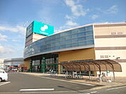 AOKIJIMA SHOPPING PARK（青木島ショッピングパーク）（1052m）