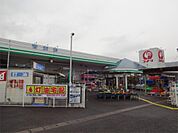 コメリハード＆グリーン戸倉店（483m）