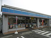 ローソン 長野川中島原店（1010m）