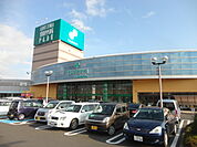 TSURUYA（ツルヤ） 青木島店（523m）