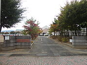 長野市立三本柳小学校（204m）