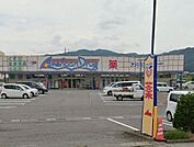 アメリカンドラッグ　臼田店（1055m）
