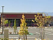 ザ・ダイソー DAISO フォレストモール佐久平店（1019m）