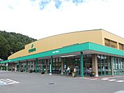 ツルヤ茅野店（355m）