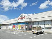 ドラッグコスコ富士見店（2239m）